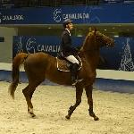 Iskra - pod Maciejem Kasperkiem<br /><i>Cavaliada, MTP, 30.11.2014</i>