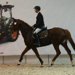 Iskra - pod Maciejem Kasperkiem<br /><i>Poznań, Cavaliada 2014</i>