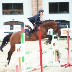 Aramis<br />&copy; Salio Klub Jeździecki