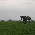 Donżuan