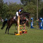 Aramis