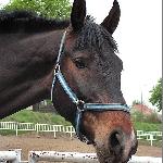 Aramis