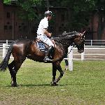 Misisipi - ZR-B Starogard 06.2014<br />&copy; Baza Koni