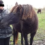 Puzia - Puzia<br />&copy; Monika Wilkoń
