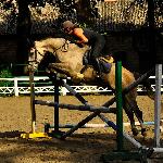 Warka-A
