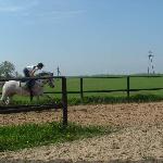 Alpesa - Alpesa<br />&copy; Iwona Rotter<br /><i>Nowe zdjęcia</i>