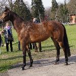 Tercyna<br />&copy; SK Rzeczna