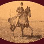 Whiskey<br /><i>źródło: "Klacz stadna" Stefana hr. Sumińskiego</i>