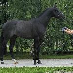 Ploter - Ploter<br />&copy; Karolina Wengerek