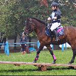Wag-W - Klikowa 2015<br />&copy; Paulina Peckiel - www.peckiel.pl