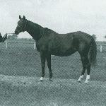 Amurath Gidran-10