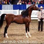 Besson Carol