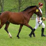 Emaus