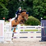 Counter<br /><i>https://nicponhorses.eu/counter/</i>