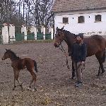 Rotacja - z córką<br /><i>SK Racot, marzec 2015</i>
