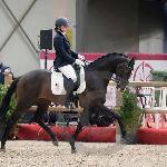 Firestone (Fecco)