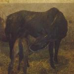 Panna - z synem po Coriano's Ass<br />&copy; Facebook J. G.<br /><i>SK Racot, noc 10/11 stycznia 2016</i>