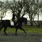 Szumilas