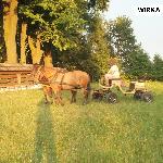 Wirka - WIRKA<br />&copy; Marcin DONIEK