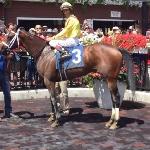 Rachel's Valentina