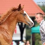 Eger