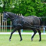 Estera - 6-7 maja 2016 Klikowa<br />&copy; Paulina Peckiel www.peckiel.pl