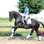 Blue Hors First Choice (First Choice)