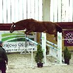 Tawra<br />&copy; fb SK Racot<br /><i>ZT Łąck, grudzień 2017</i>