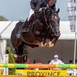 Scendro / Hunter's Scendro