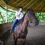 Ulena ex Urysa - maj 2013<br /><i>w Dzikowcu</i>