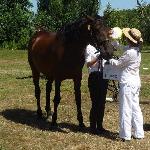 Ulena ex Urysa - Wystawa klaczy małopolskich<br />&copy; Zagroda Jeździecka Mustang<br /><i>'Koń jaki jest' 2013</i>