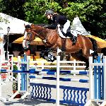 Aldan Clear - 2014 r<br />&copy; bazakoni.pl