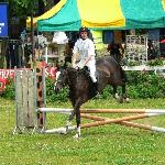 Etiuda - Zawody 2006<br />&copy; LKJ Zabajka<br /><i>Otwarte Zawody Regionalne w Skokach przez Przeszkody o Puchar Marszałka Województwa Podkarpackiego – 17 – 18 czerwca 2006r.</i>
