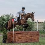 Red Hot Chili Pepper M - Baborówko Horse Sale Show 2018<br />&copy; M&R Photo