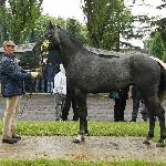 Lancelot