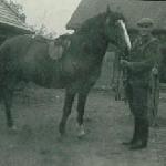 Wesołek
