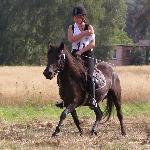 Wilda<br />&copy; kejti