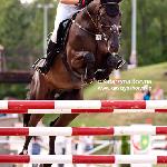 Stuntman 10 (Suspicius Mind)<br />&copy; Katarzyna Boryna - www.katarzynaboryna.pl