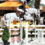 Casquin - 2014 r<br />&copy; bazakoni.pl