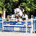 Casquin - 2014 r<br />&copy; bazakoni.pl