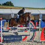 Wodka-Polka<br />&copy; fb Anna Przybył - equine & dog photography