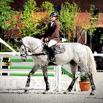 Cardozo Z - 2014 r<br />&copy; bazakoni.pl