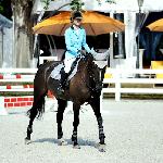 Obora's Ragazza - 2014 r<br />&copy; bazakoni.pl