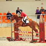 Sailo - 2014<br />&copy; Baza Koni