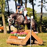 Quaido - 2014<br />&copy; Baza Koni