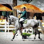 Romina L - 2014 r<br />&copy; bazakoni.pl