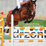 Osadkowski Ashville<br />&copy; Katarzyna Boryna - www.katarzynaboryna.pl