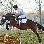 Celestia - Antoniów 6.11.2015<br />&copy; Paulina Peckiel - www.peckiel.pl