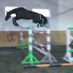 Fairy Twing - Korytarz 170 cm