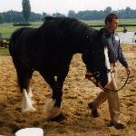 Chipstead Julie<br />&copy; kejti